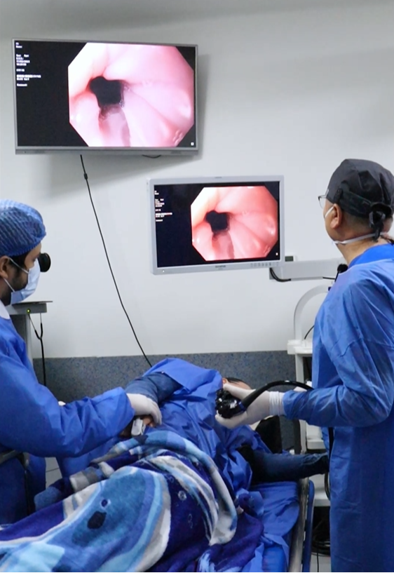 Endoscopia digestiva alta